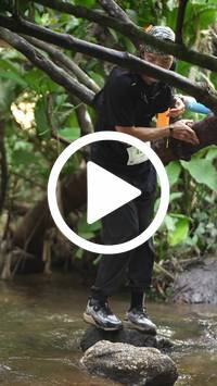 BIB:  <button type="button" onclick="openModal(27825306)" class="btn btn-primary btn-sm float-right" data-toggle="modal" data-target=".modal-high-quality">
                <i class="fa fa-download"></i> Download
                </button>